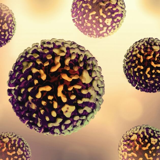 Colorized illustration of hepatitis B virus particles.